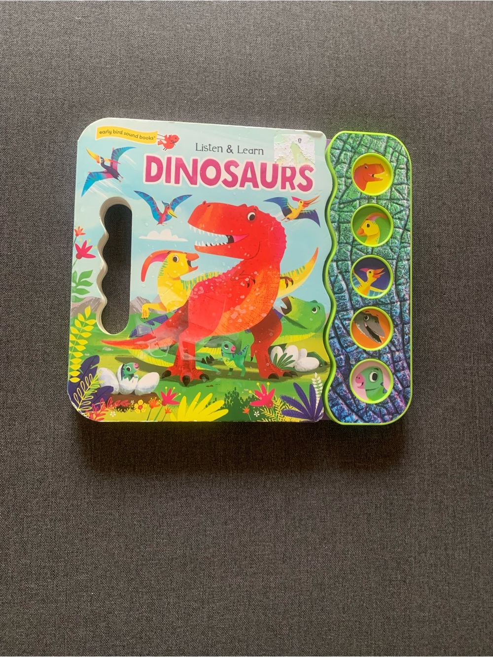 Early Bird Sound Books Listen & Learn Dinosaurs